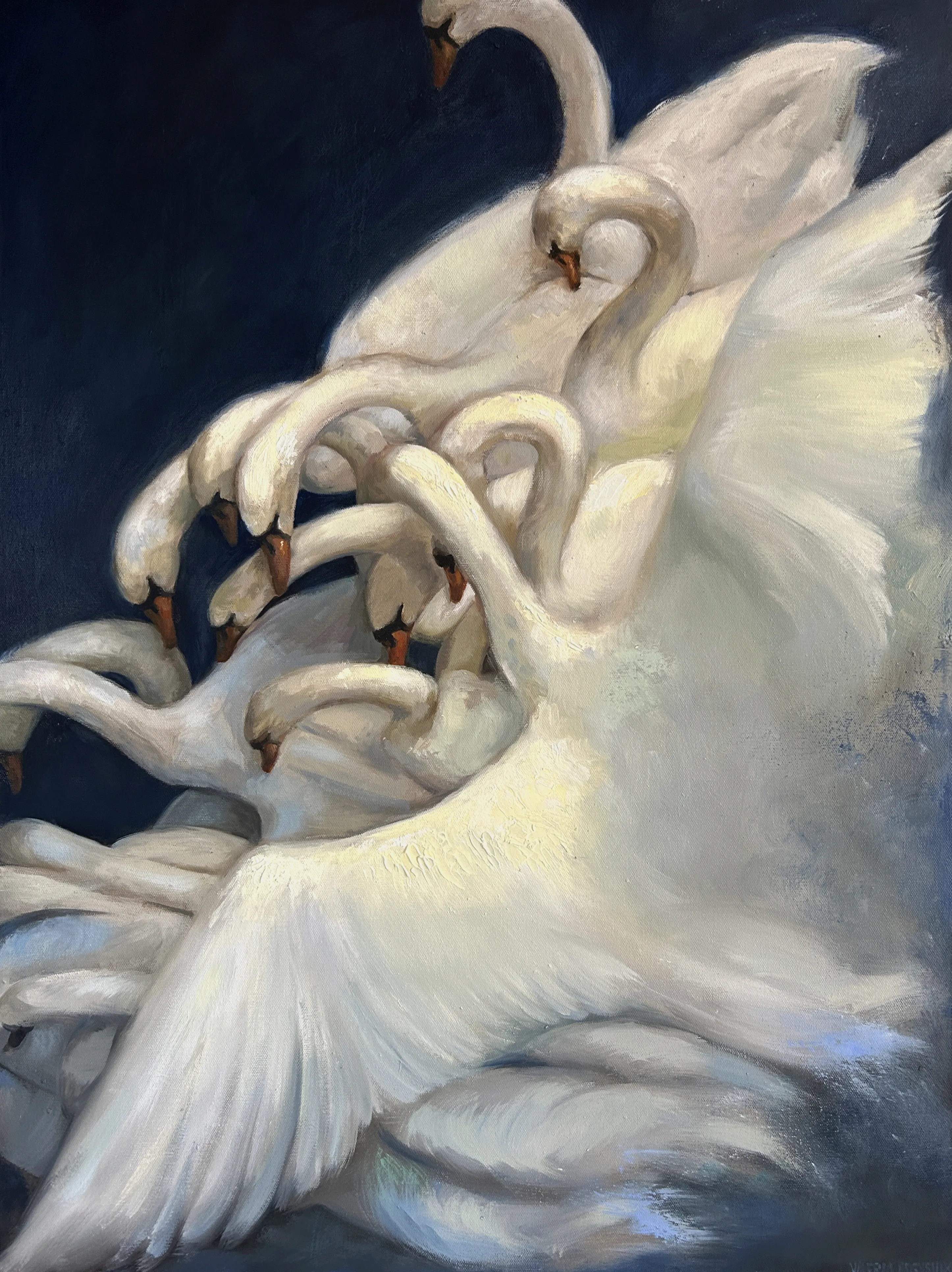 Image of Swans by Valeriia Borysiuk, size: 80 x 60 cm, made of Oil on Canvas, Painting medium, from United Kingdom